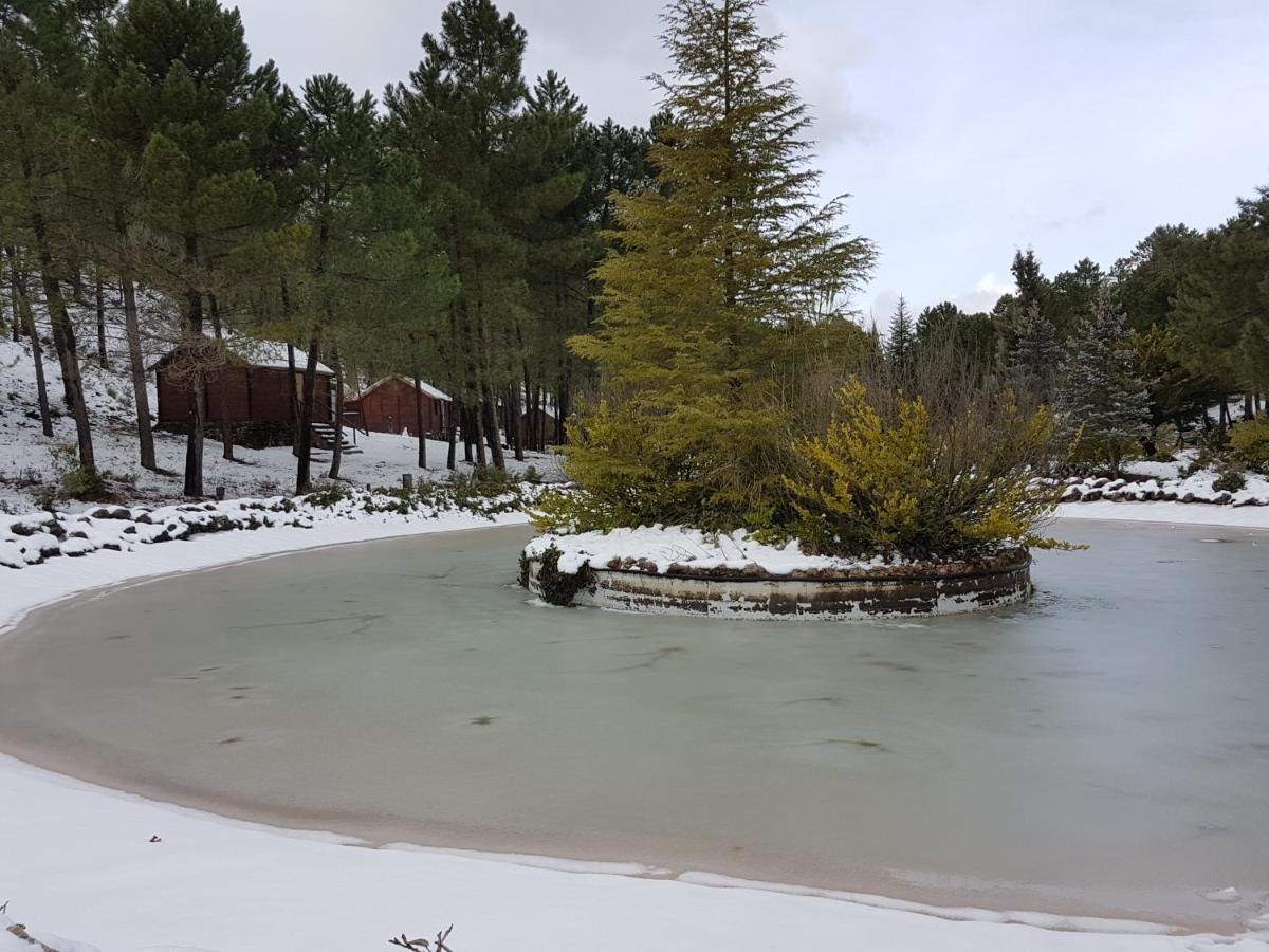 De Montana Parque Natural Calar Rio Mundo - Independiente - Wifi Chalet