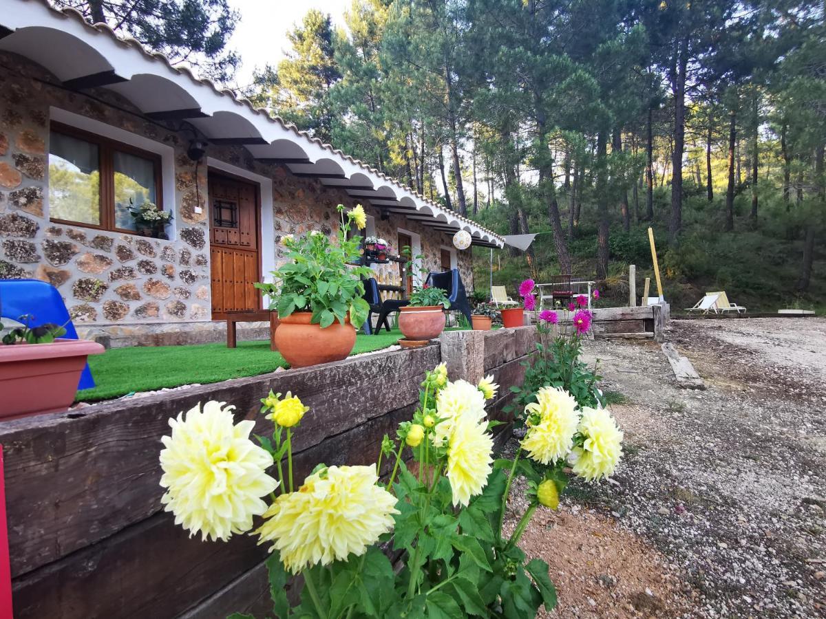 De Montana Parque Natural Calar Rio Mundo - Independiente - Wifi Chalet Riopar