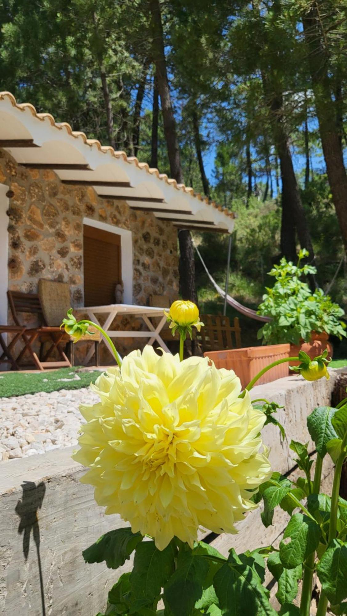 Chalet De Montana Parque Natural Calar Rio Mundo - Independiente - Wifi Riopar